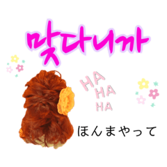 [LINEスタンプ] 私たち慶尚道サトゥリ女子 pt.2