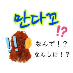 [LINEスタンプ] 私たち慶尚道サトゥリ女子 pt.1