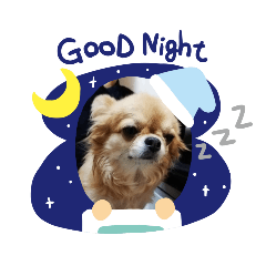 [LINEスタンプ] モコココ