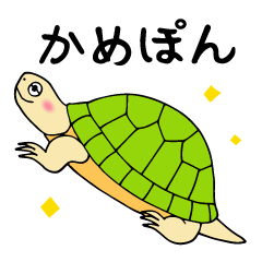 [LINEスタンプ] かめぽん