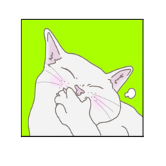 [LINEスタンプ] わかりやすい猫達