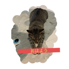 [LINEスタンプ] うずら2号