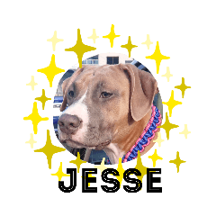 [LINEスタンプ] JESSIE.M