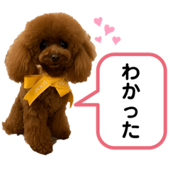[LINEスタンプ] ありっくまfam