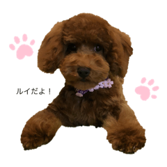 [LINEスタンプ] ルイの担当