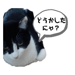 [LINEスタンプ] らむね様のスタンプ(1)