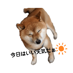 [LINEスタンプ] グルスタンプ