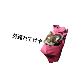 [LINEスタンプ] 犬から人間