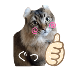 [LINEスタンプ] カルスタンプ④