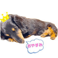 [LINEスタンプ] 我が家のLEOちゃん'ᴥ'