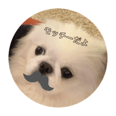 [LINEスタンプ] モッチーだよ