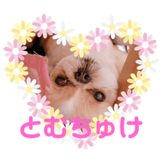 [LINEスタンプ] とむちゅけ♡♡