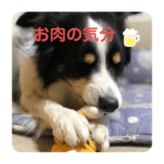 [LINEスタンプ] チャンの一言。〜お仕事編part2〜