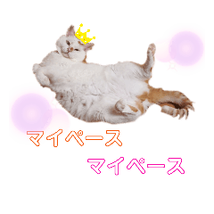 [LINEスタンプ] こはる☆さくら