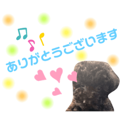 [LINEスタンプ] ももちゃん(犬)スタンプ