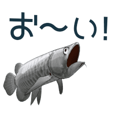 [LINEスタンプ] 動くアロワナスタンプ