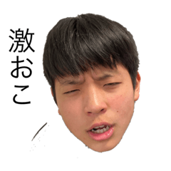 [LINEスタンプ] こうようです、、