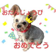 [LINEスタンプ] ココちゃんの気持ち〜日常編〜