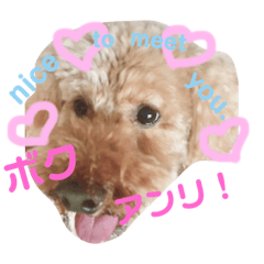 あんりだよ♡♡