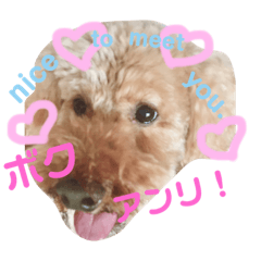 [LINEスタンプ] あんりだよ♡♡の画像（メイン）