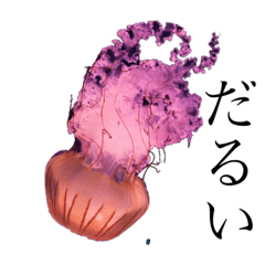 [LINEスタンプ] だるい海洋生物