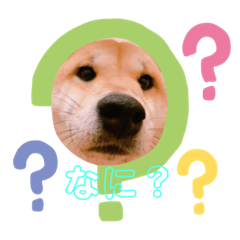 [LINEスタンプ] みるくのスタンプ✿