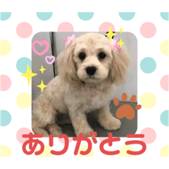 [LINEスタンプ] ららふうすけ
