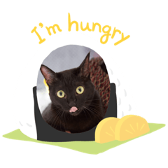 [LINEスタンプ] 黒猫の姫ちゃん