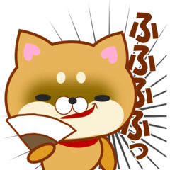 [LINEスタンプ] 犬も猫も好き「わんにゃん」LINEスタンプ！