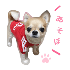 [LINEスタンプ] LIZちゃんスタンプ
