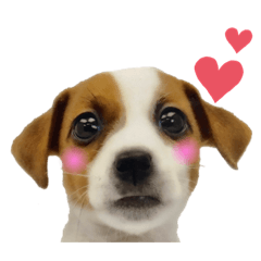 [LINEスタンプ] ラスクの日常❤︎3