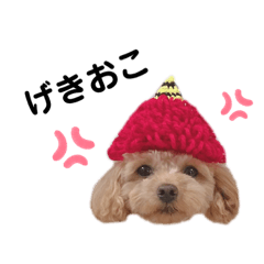 [LINEスタンプ] maru ✱eight✱