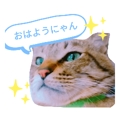 [LINEスタンプ] 緑の目