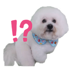 [LINEスタンプ] ぼんばちゃん