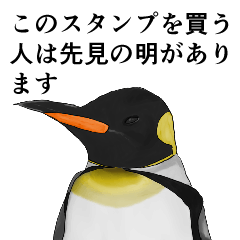 [LINEスタンプ] ペンギンは強い（スターターセット）の画像（メイン）
