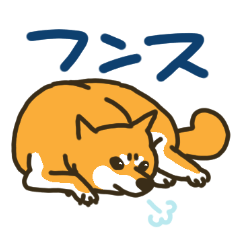 [LINEスタンプ] 柴犬むぎの毎日スタンプ