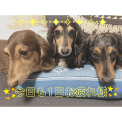 [LINEスタンプ] RAMU☆RIKU☆MIMI