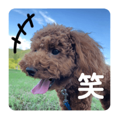 [LINEスタンプ] トイスタンプ2