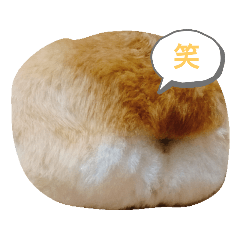 [LINEスタンプ] コーギーのぷりん