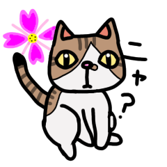 [LINEスタンプ] ねこの日常物語 〜挨拶編〜