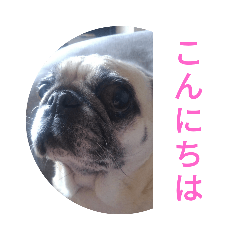 [LINEスタンプ] TOTO's stump4