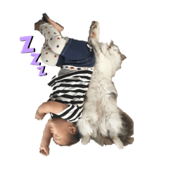 [LINEスタンプ] たんぽぽのこがねちゃん