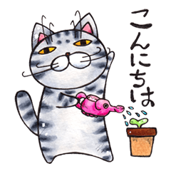 [LINEスタンプ] ひこ屋のねこ【短毛】