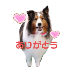 [LINEスタンプ] シェルティくま