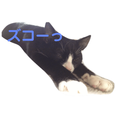 [LINEスタンプ] じぇりー様③