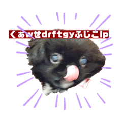 [LINEスタンプ] 愛犬と愛ハム