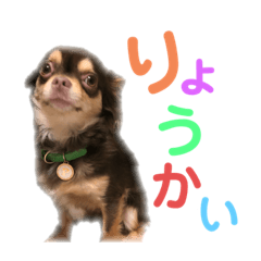 [LINEスタンプ] たいがとマロン