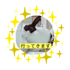 [LINEスタンプ] ゴマスタンプです