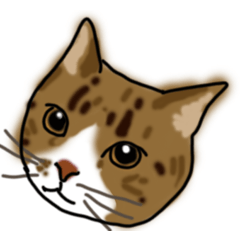 [LINEスタンプ] 山田家用スタンプ