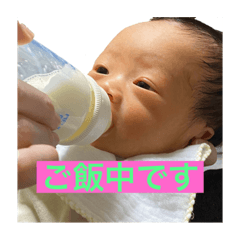 [LINEスタンプ] 蓮絆の写真